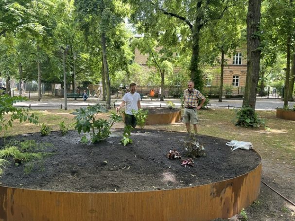 Die Gartenarchitekten Björn Scheffler und Christian Meyer beginnen mit der Pflanzung