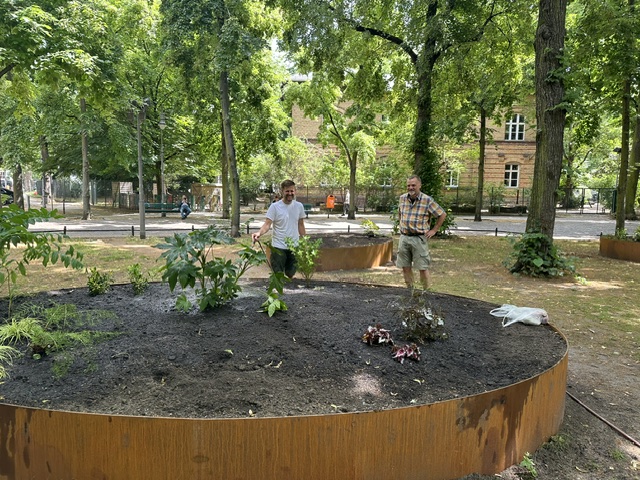 Die Gartenarchitekten Björn Scheffler und Christian Meyer beginnen mit der Pflanzung