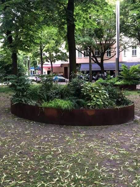 eins der Hochbeete, im Vordergrund: Flügelblattabwurf der Linden im Juni