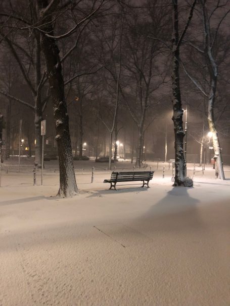 Poesie des Winters
