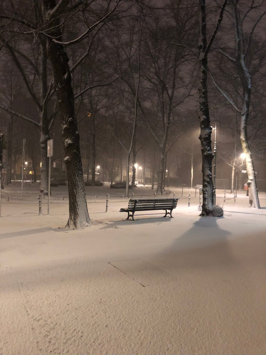 Poesie des Winters